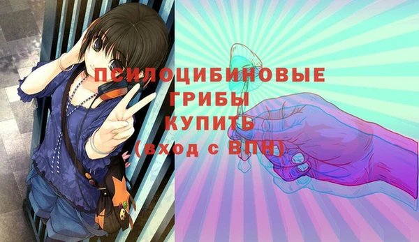 стафф Елабуга