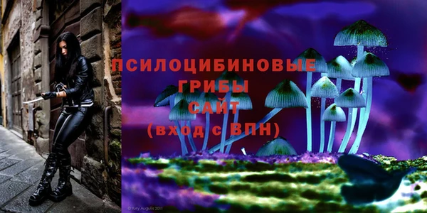 кокаин Ельня