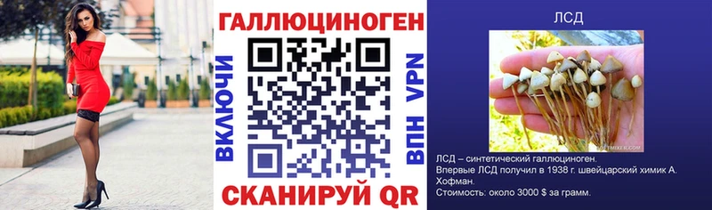 нарко площадка как зайти  Сычёвка  Псилоцибиновые грибы мицелий 
