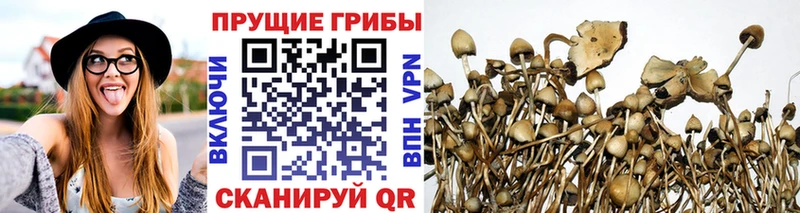 Галлюциногенные грибы ЛСД Сычёвка